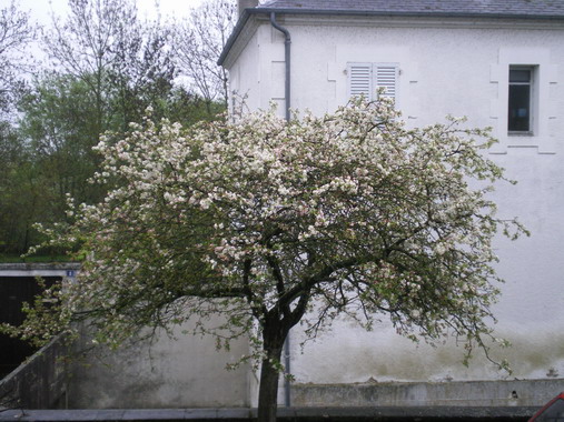 c0124619_220257.jpg
