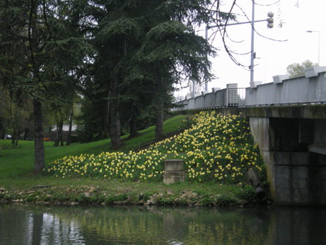 c0124619_2211861.jpg