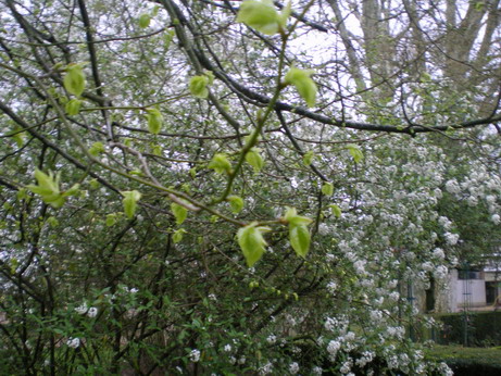 c0124619_2215790.jpg