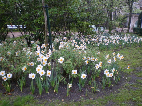 c0124619_2233281.jpg
