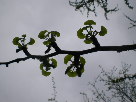 c0124619_2243153.jpg