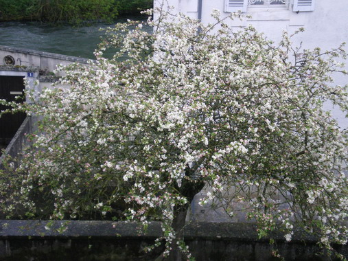 c0124619_2255047.jpg