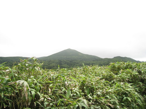 d0136122_13302197.jpg
