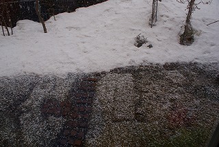 f0170524_16151173.jpg