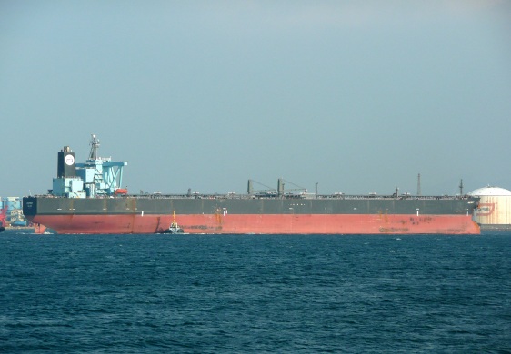 OSPREY_e0158925_23503096.jpg