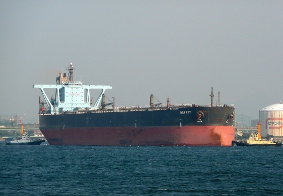 OSPREY_e0158925_2351117.jpg