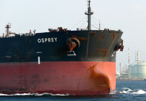 OSPREY_e0158925_23515436.jpg