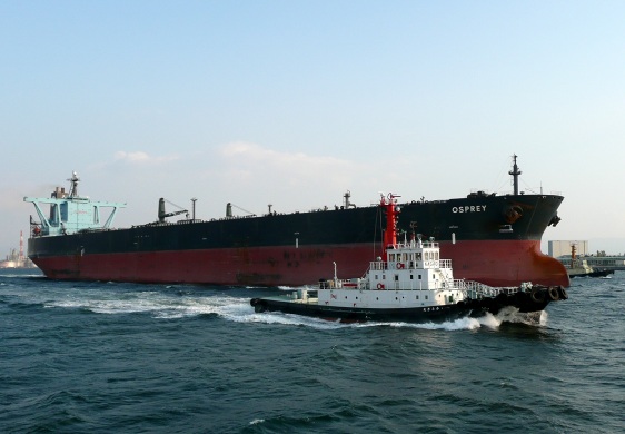 OSPREY_e0158925_23522149.jpg