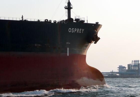 OSPREY_e0158925_23525166.jpg