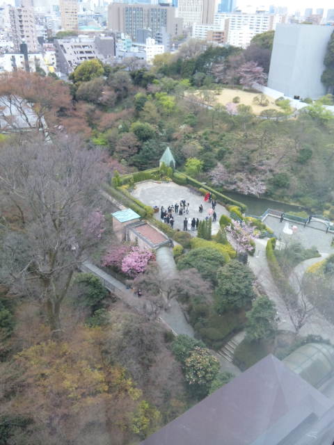 白寿のお祝い_d0004728_12453666.jpg