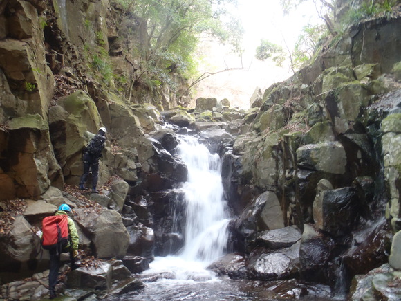 f0182938_559139.jpg