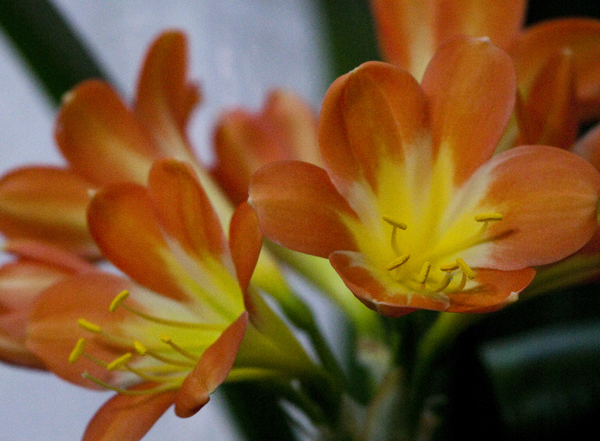 b0213639_22371034.jpg