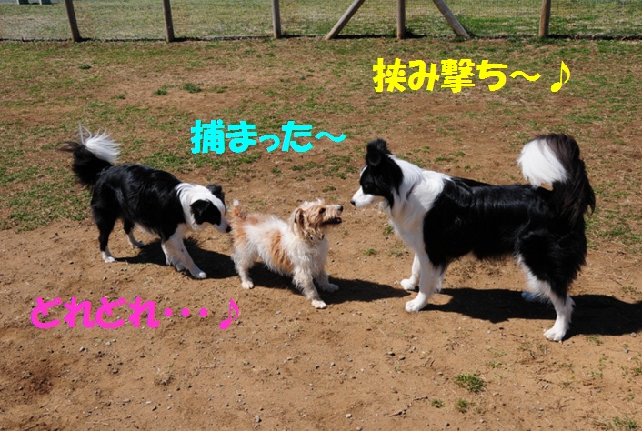 c0147241_2211529.jpg