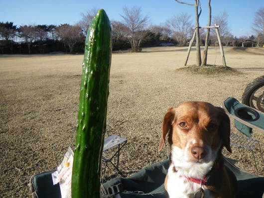 ワンデムタンデム２０１１０３２６（金）〜御殿場やまぼうし_f0046250_13483345.jpg