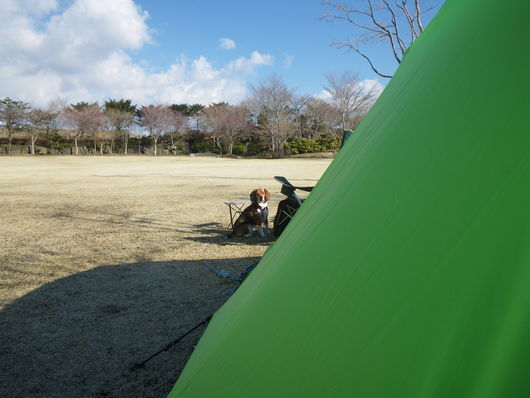 ワンデムタンデム２０１１０３２６（金）〜御殿場やまぼうし_f0046250_17481987.jpg