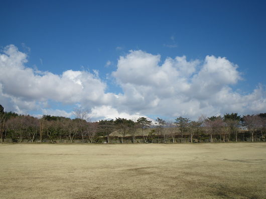 f0046250_1748295.jpg
