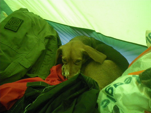 f0046250_19194331.jpg