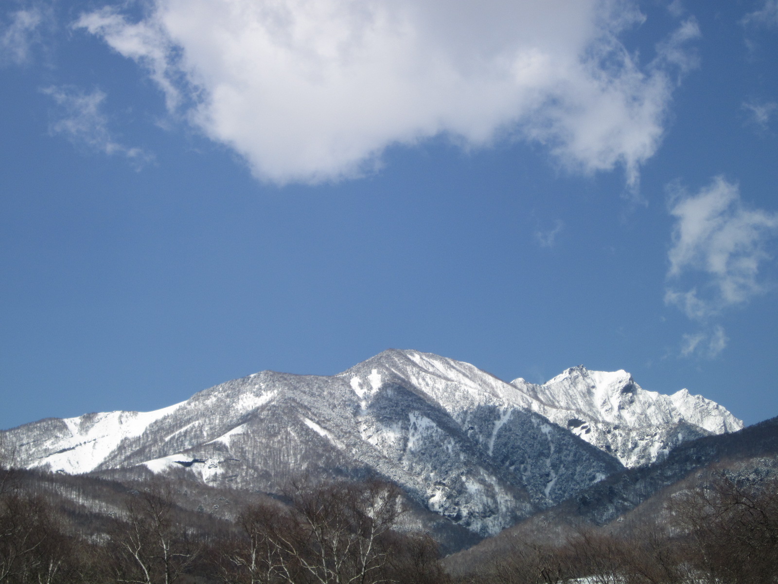 a0162251_17371055.jpg