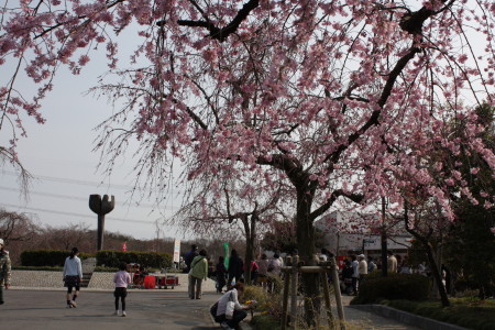 c0074553_1921281.jpg