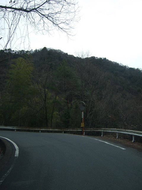 b0095061_113922100.jpg