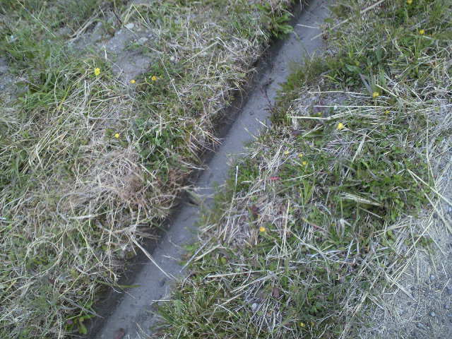 c0147261_21521175.jpg