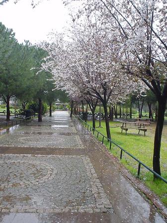 d0183861_2191489.jpg