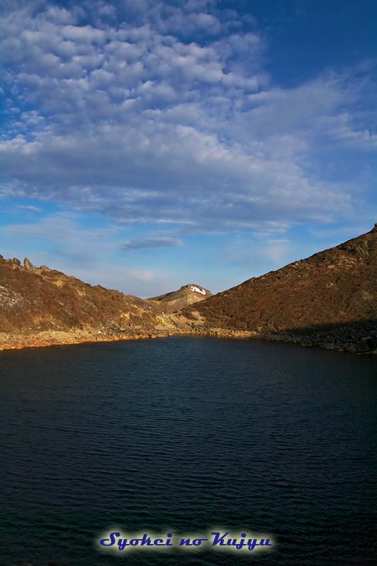 f0173067_14432278.jpg