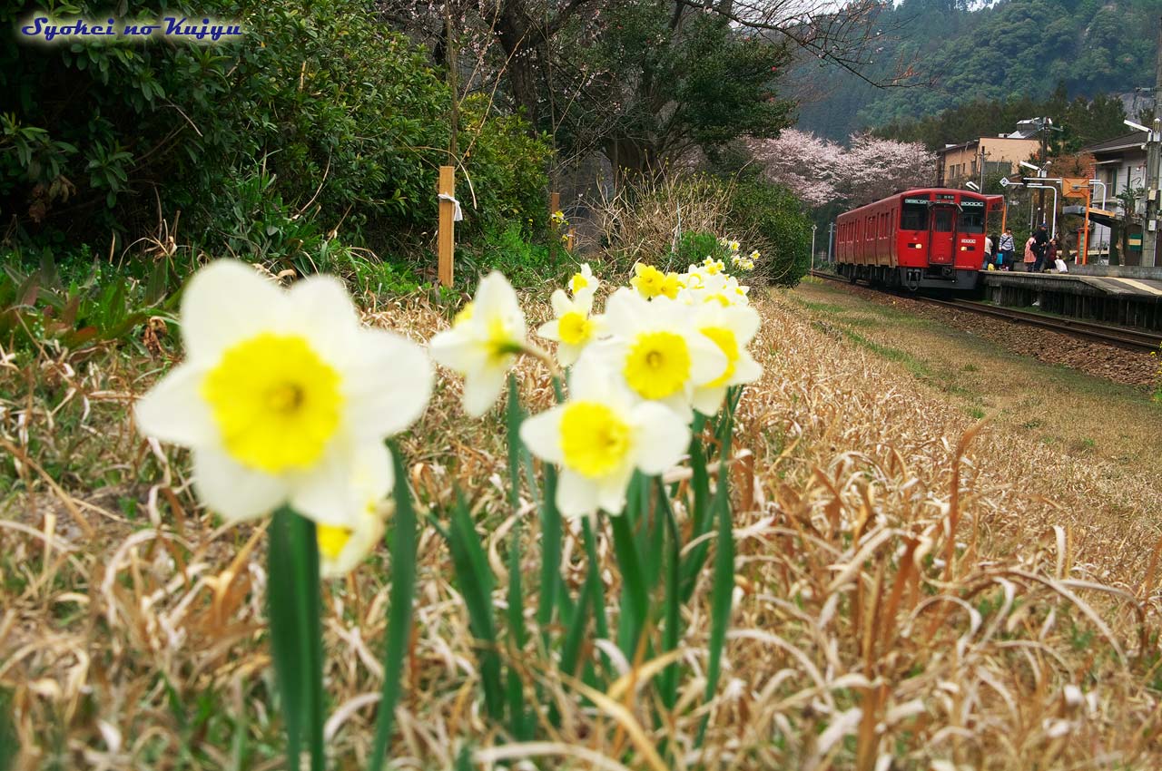 4月2日 中岳朝駆け そして初「ゆる鉄」_f0173067_14445954.jpg