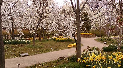 c0225471_125051100.jpg