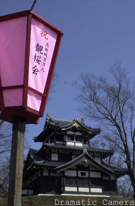 高田公園観桜会の準備始まる_d0107372_17475882.jpg