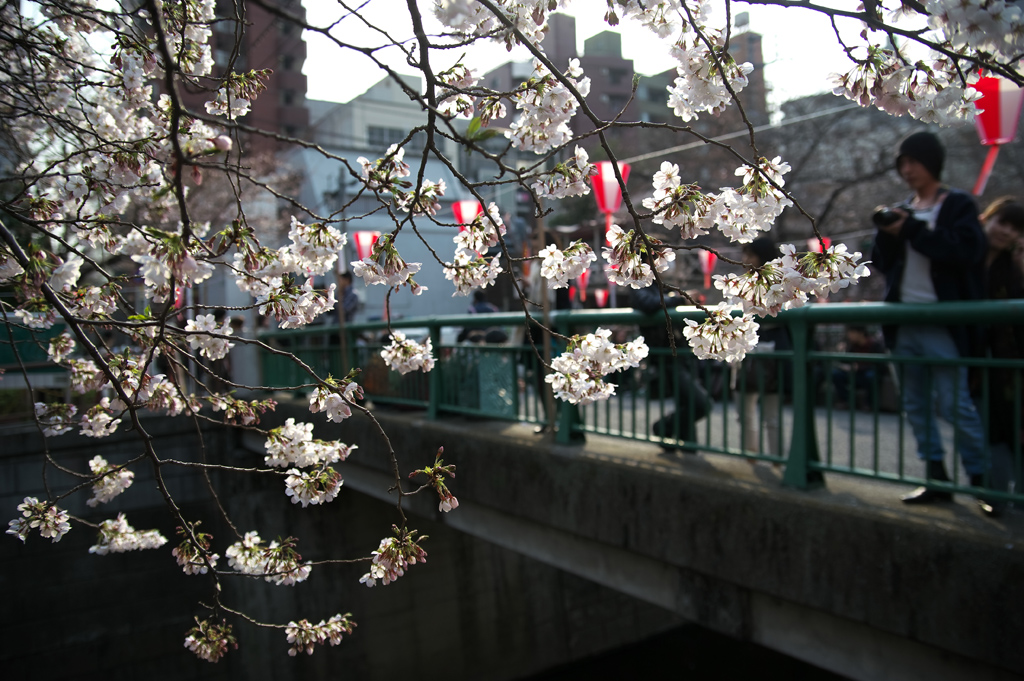 独男の休日 2011.04.02_f0085878_14523334.jpg