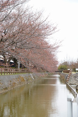 朝練_b0094681_22184588.jpg