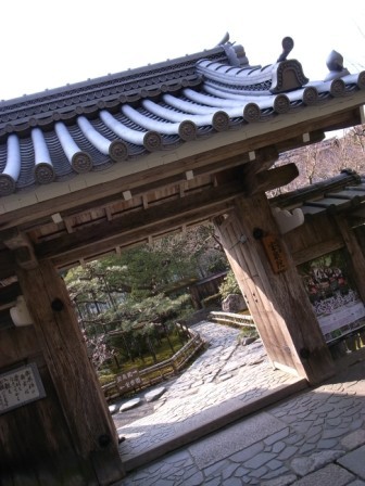 2011春　京都　　大原　　宝泉院_a0149382_1722111.jpg