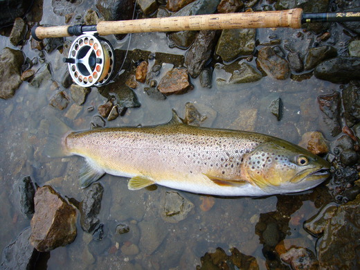 a0118989_21175765.jpg