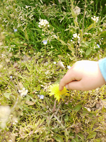 a0150193_204690.gif