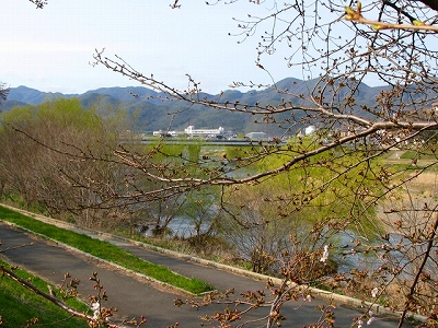f0181394_1656515.jpg