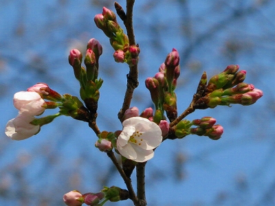 f0181394_17101442.jpg