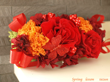 tazun spring lessonのお知らせ_d0144095_17262850.jpg