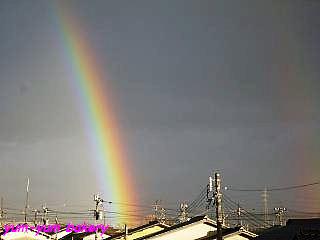 f0199200_0285324.jpg
