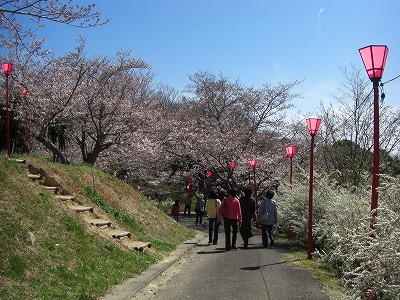 c0125501_23301827.jpg