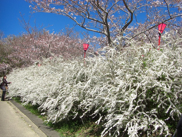 c0125501_2334032.jpg