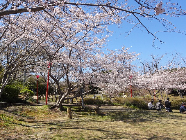 c0125501_23393218.jpg