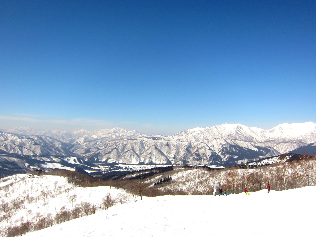 e0063003_1675215.jpg
