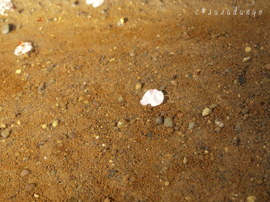 f0207703_12112088.jpg