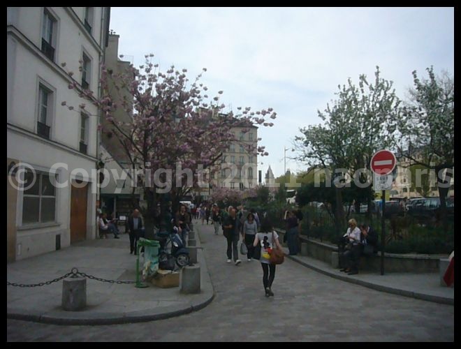 【サクラ】ノートルダム界隈4月2日(PARIS)_a0008105_183128.jpg