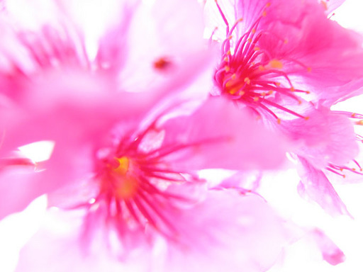 a0168108_184137.jpg