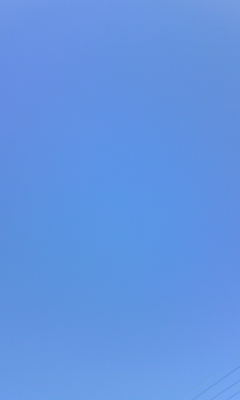 c0180209_16485537.jpg