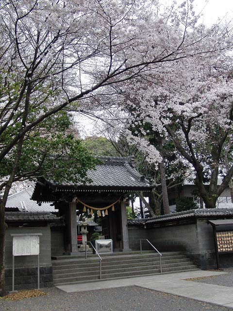 日吉浅間神社の月例祭_f0141310_7221895.jpg