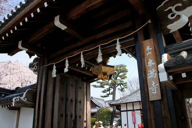 京の花だより 本満寺_e0048413_21431919.jpg