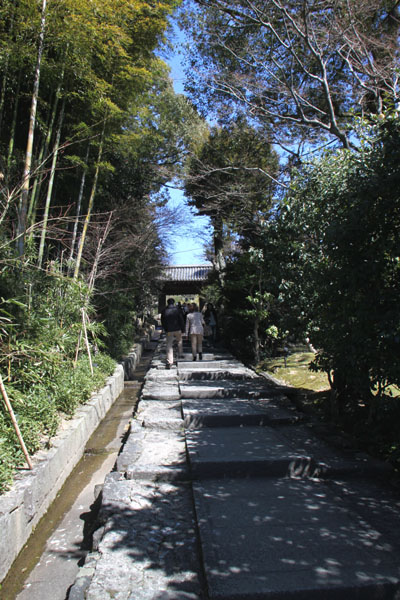 京の花だより 高台寺 募金_e0048413_22194660.jpg